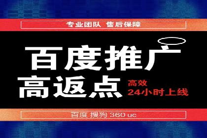 SEM服务公司经典案例集锦